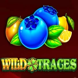 Wild Traces online slot from Amusnet Interactive – play at koko-bets-casino.nl
